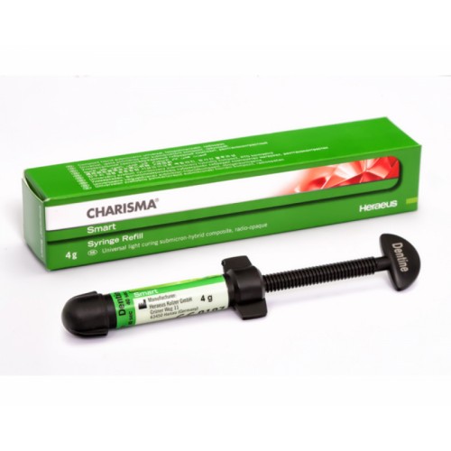 Каризма Smart 4g-В2